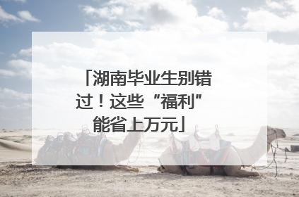 湖南毕业生别错过！这些“福利”能省上万元