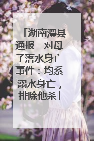 湖南澧县通报一对母子落水身亡事件：均系溺水身亡，排除他杀