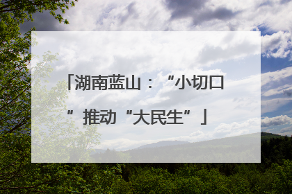 湖南蓝山：“小切口”推动“大民生”