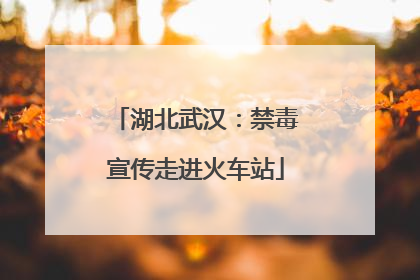 湖北武汉：禁毒宣传走进火车站