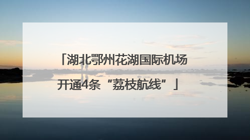 湖北鄂州花湖国际机场开通4条“荔枝航线”