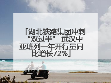 湖北铁路集团冲刺“双过半” 武汉中亚班列一年开行量同比增长72%