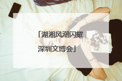 湖湘风潮闪耀深圳文博会
