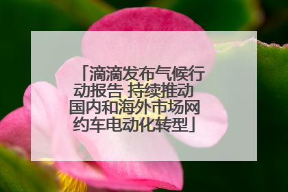 滴滴发布气候行动报告 持续推动国内和海外市场网约车电动化转型