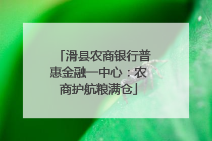 滑县农商银行普惠金融一中心：农商护航粮满仓