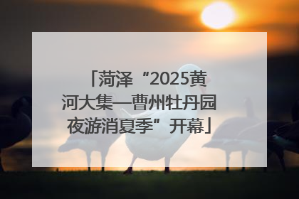 菏泽“2025黄河大集—曹州牡丹园夜游消夏季”开幕