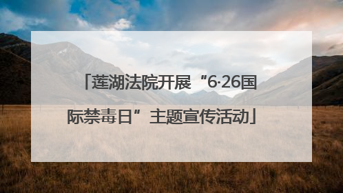 莲湖法院开展“6·26国际禁毒日”主题宣传活动