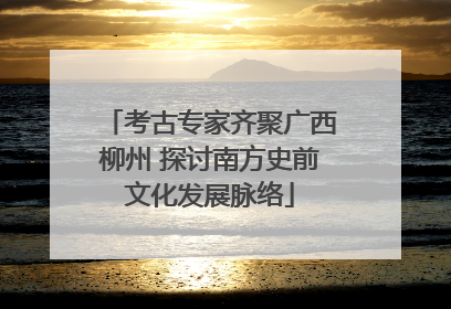 考古专家齐聚广西柳州 探讨南方史前文化发展脉络