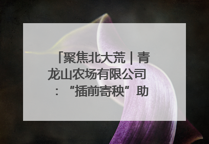 聚焦北大荒｜青龙山农场有限公司：“插前寄秧”助力农业节本增效