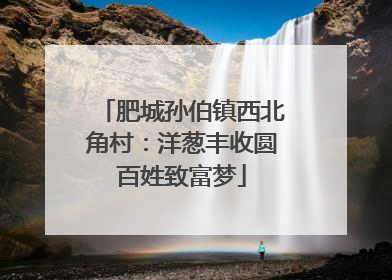 肥城孙伯镇西北角村：洋葱丰收圆百姓致富梦