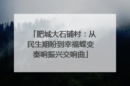 肥城大石铺村：从民生期盼到幸福蝶变奏响振兴交响曲