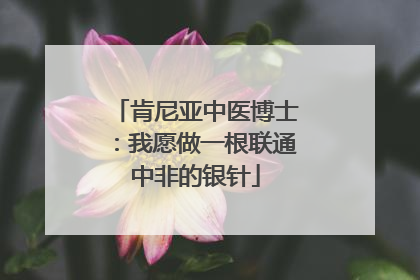 肯尼亚中医博士：我愿做一根联通中非的银针