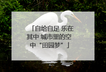 自给自足 乐在其中 城市里的空中“田园梦”