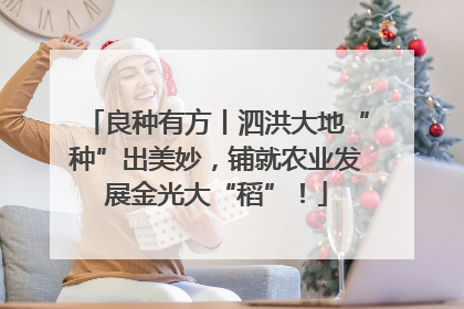 良种有方丨泗洪大地“种”出美妙，铺就农业发展金光大“稻”！