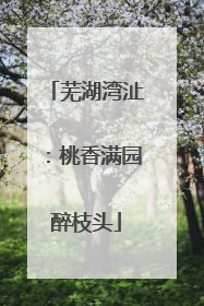 芜湖湾沚：桃香满园醉枝头