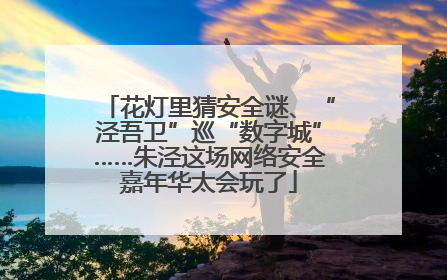 花灯里猜安全谜、“泾吾卫”巡“数字城”……朱泾这场网络安全嘉年华太会玩了