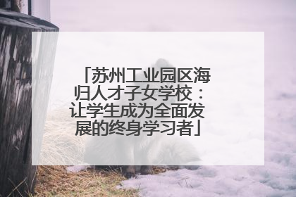苏州工业园区海归人才子女学校：让学生成为全面发展的终身学习者