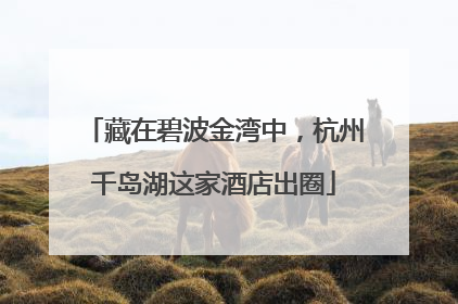 藏在碧波金湾中，杭州千岛湖这家酒店出圈