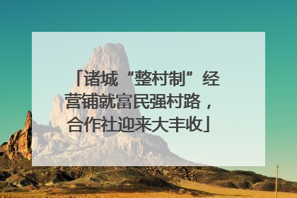 诸城“整村制”经营铺就富民强村路，合作社迎来大丰收