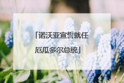 诺沃亚宣誓就任厄瓜多尔总统