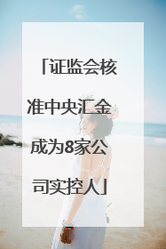 证监会核准中央汇金成为8家公司实控人