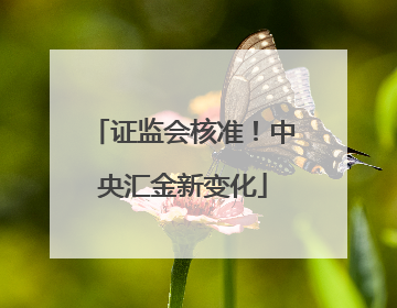证监会核准！中央汇金新变化
