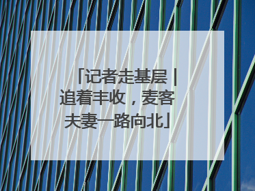 记者走基层｜追着丰收，麦客夫妻一路向北