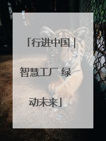 行进中国｜智慧工厂 绿动未来