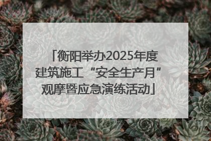 衡阳举办2025年度建筑施工“安全生产月”观摩暨应急演练活动