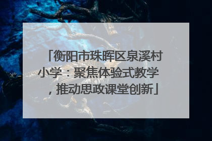 衡阳市珠晖区泉溪村小学：聚焦体验式教学，推动思政课堂创新
