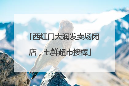 西红门大润发卖场闭店，七鲜超市接棒