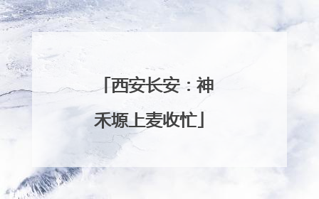 西安长安：神禾塬上麦收忙