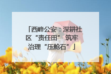 西峰公安：深耕社区“责任田” 筑牢治理“压舱石”