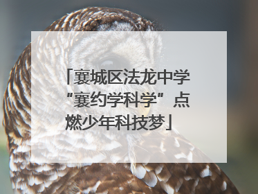 襄城区法龙中学“襄约学科学”点燃少年科技梦