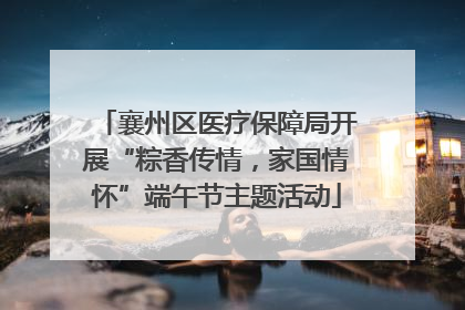 襄州区医疗保障局开展“粽香传情，家国情怀”端午节主题活动