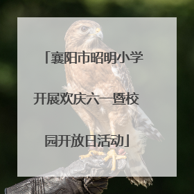 襄阳市昭明小学开展欢庆六一暨校园开放日活动