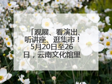 观展、看演出、听讲座、逛集市！5月20日至26日，云南文化馆里玩场多