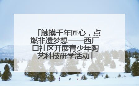 触摸千年匠心，点燃非遗梦想——西厂口社区开展青少年陶艺科技研学活动