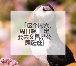 这个周六、周日晚 一定要去文昌塔公园逛逛
