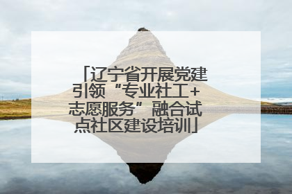 辽宁省开展党建引领“专业社工+志愿服务”融合试点社区建设培训