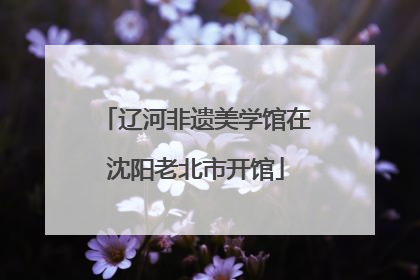 辽河非遗美学馆在沈阳老北市开馆