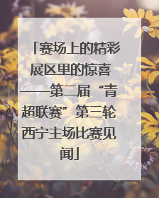赛场上的精彩 展区里的惊喜——第二届“青超联赛”第三轮西宁主场比赛见闻