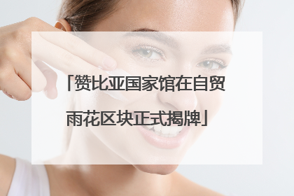 赞比亚国家馆在自贸雨花区块正式揭牌