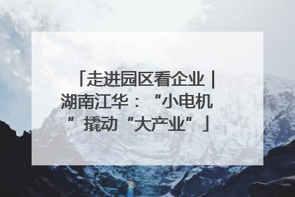 走进园区看企业｜湖南江华：“小电机”撬动“大产业”