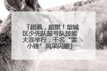 超飒，超燃！望城区少先队鼓号队技能大赛举行，千名“雷小锋”风采闪耀
