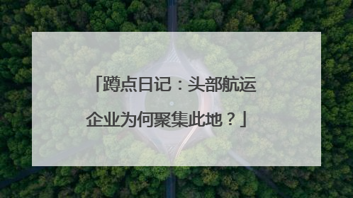 蹲点日记：头部航运企业为何聚集此地？