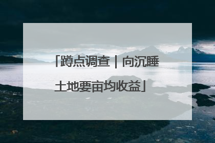 蹲点调查｜向沉睡土地要亩均收益