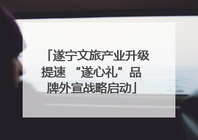 遂宁文旅产业升级提速 “遂心礼”品牌外宣战略启动