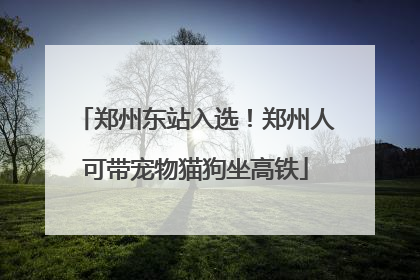 郑州东站入选！郑州人可带宠物猫狗坐高铁