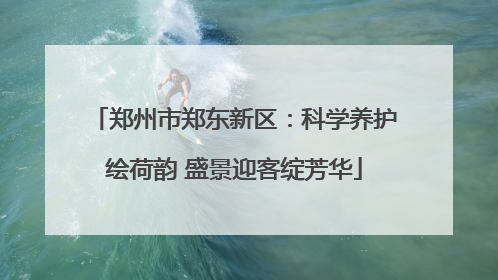 郑州市郑东新区：科学养护绘荷韵 盛景迎客绽芳华